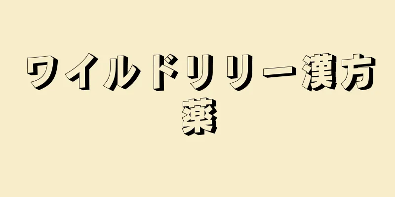 ワイルドリリー漢方薬