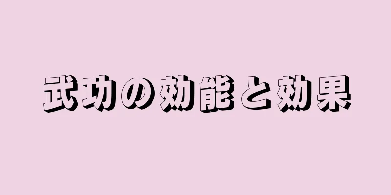 武功の効能と効果
