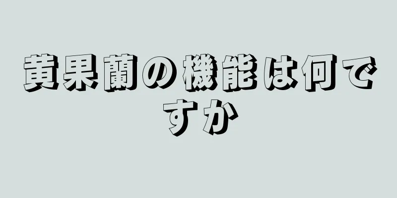 黄果蘭の機能は何ですか