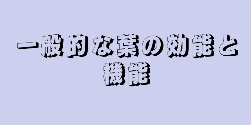 一般的な葉の効能と機能