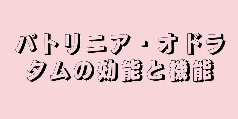 パトリニア・オドラタムの効能と機能