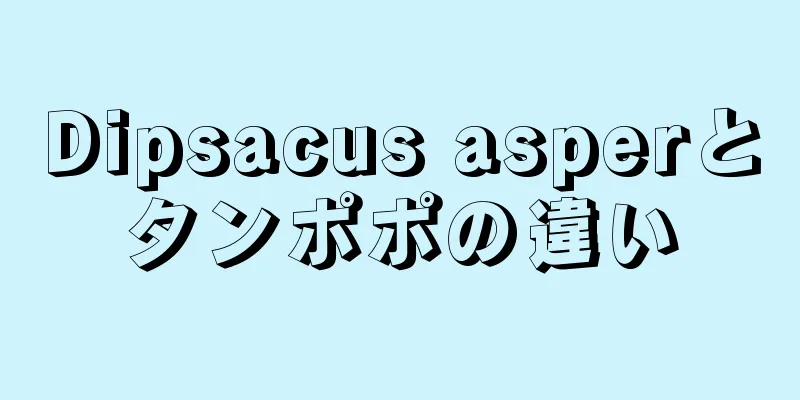 Dipsacus asperとタンポポの違い