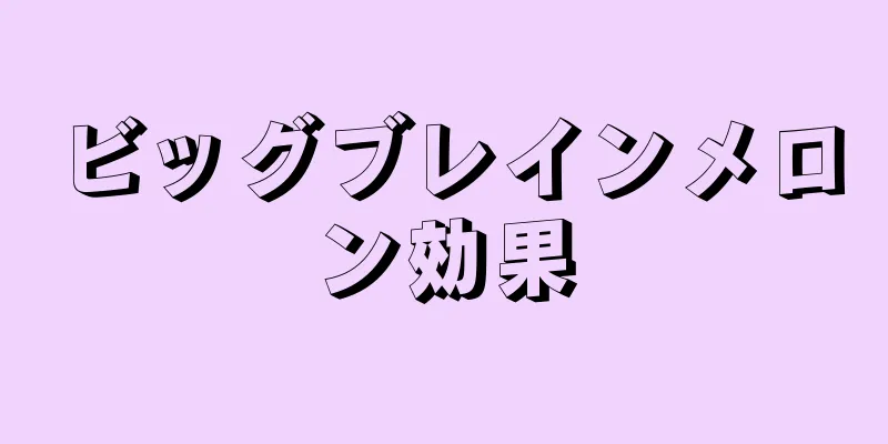 ビッグブレインメロン効果