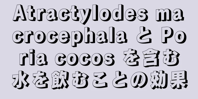 Atractylodes macrocephala と Poria cocos を含む水を飲むことの効果