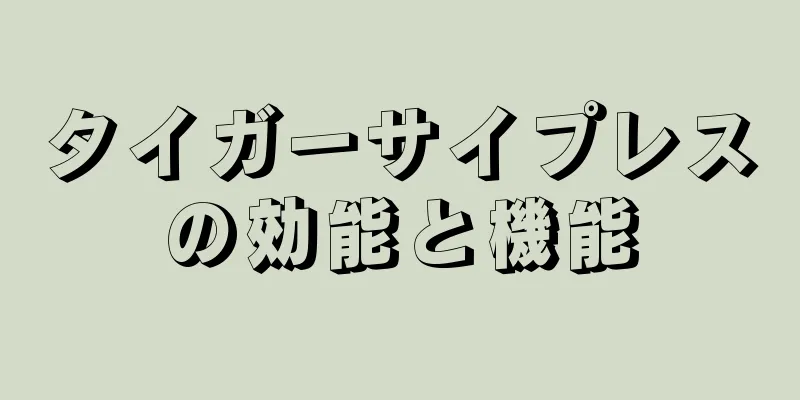 タイガーサイプレスの効能と機能