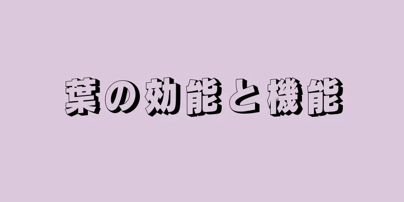 葉の効能と機能