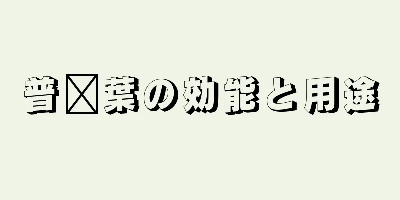 普洱葉の効能と用途
