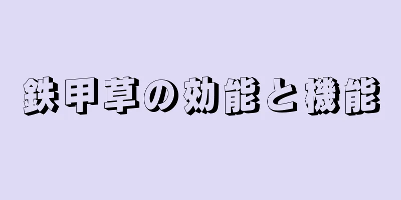 鉄甲草の効能と機能