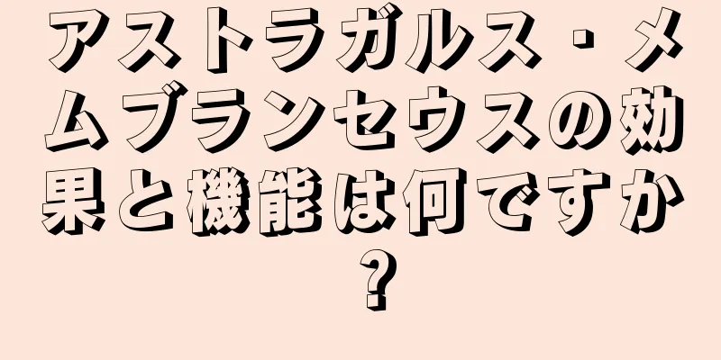 アストラガルス・メムブランセウスの効果と機能は何ですか？