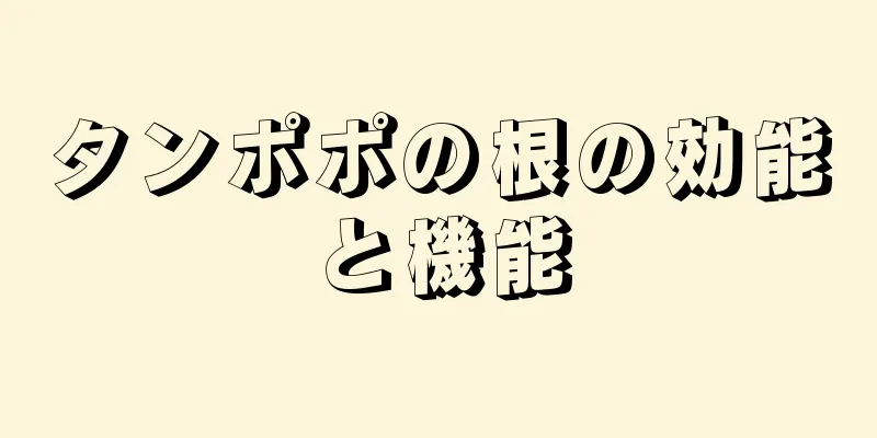 タンポポの根の効能と機能