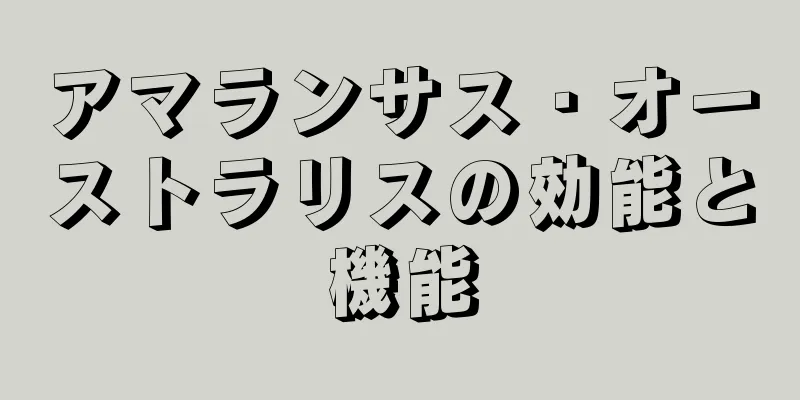 アマランサス・オーストラリスの効能と機能