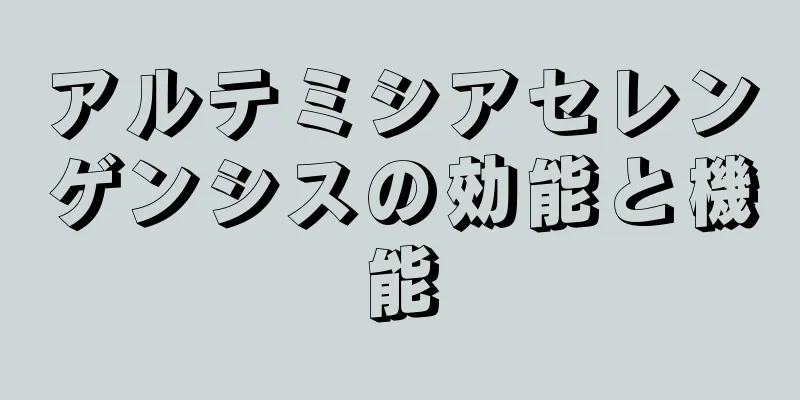 アルテミシアセレンゲンシスの効能と機能