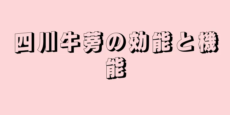 四川牛蒡の効能と機能