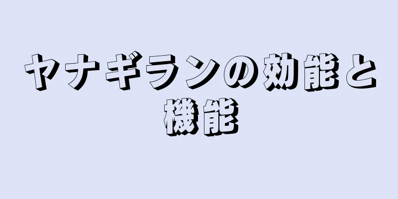 ヤナギランの効能と機能