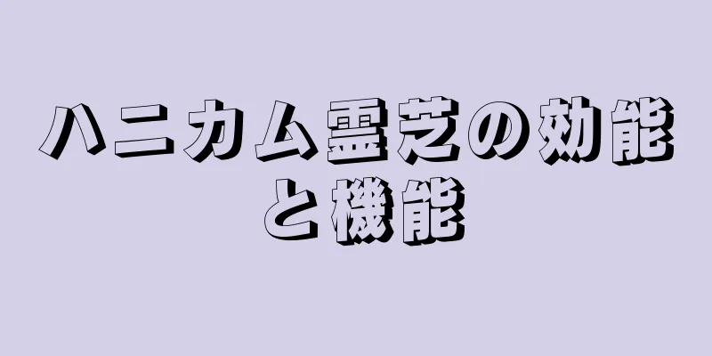 ハニカム霊芝の効能と機能