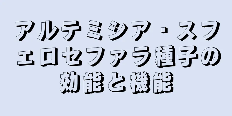 アルテミシア・スフェロセファラ種子の効能と機能