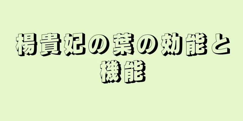 楊貴妃の葉の効能と機能