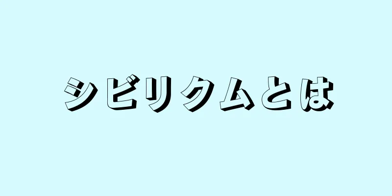 シビリクムとは