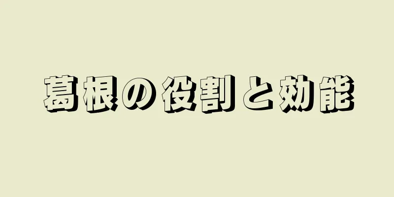 葛根の役割と効能