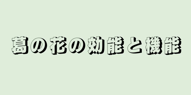葛の花の効能と機能
