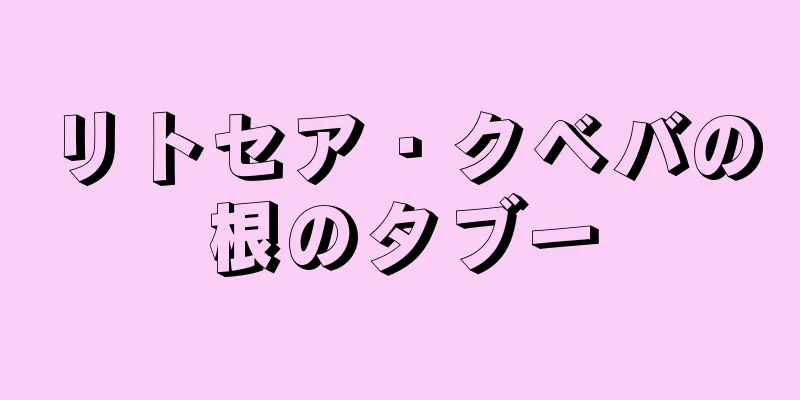 リトセア・クベバの根のタブー