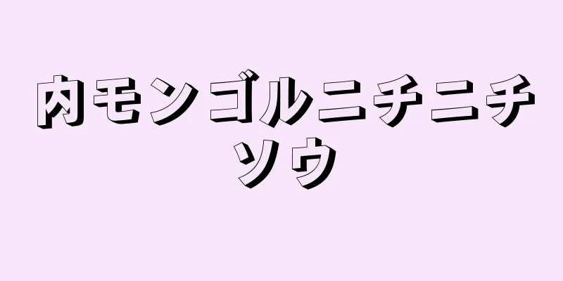 内モンゴルニチニチソウ