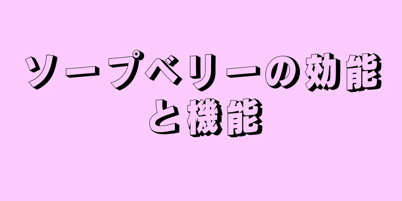 ソープベリーの効能と機能