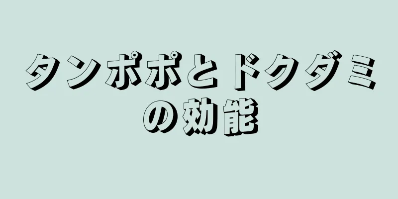 タンポポとドクダミの効能