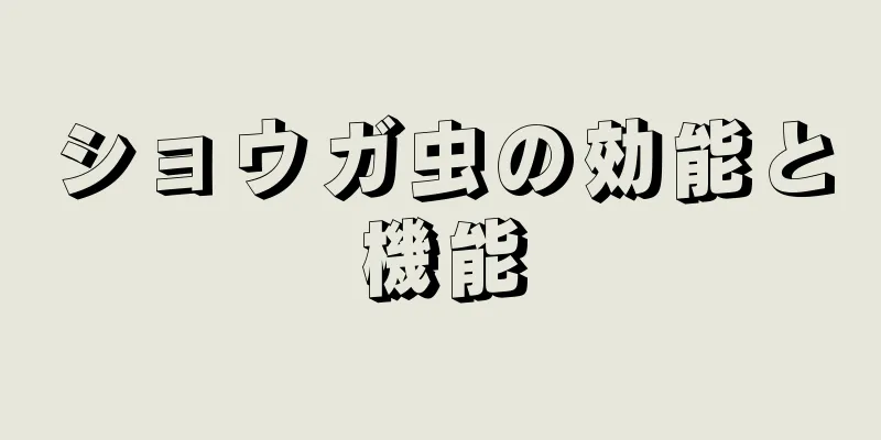 ショウガ虫の効能と機能