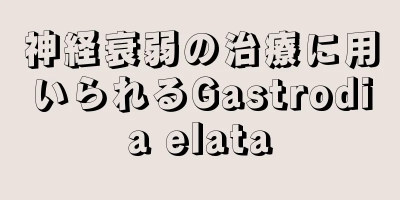 神経衰弱の治療に用いられるGastrodia elata