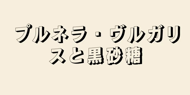 プルネラ・ヴルガリスと黒砂糖