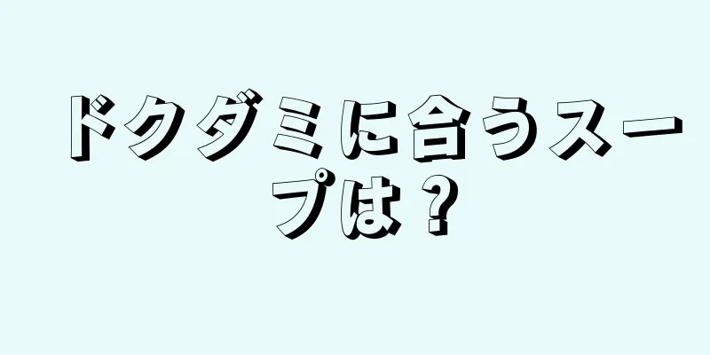 ドクダミに合うスープは？
