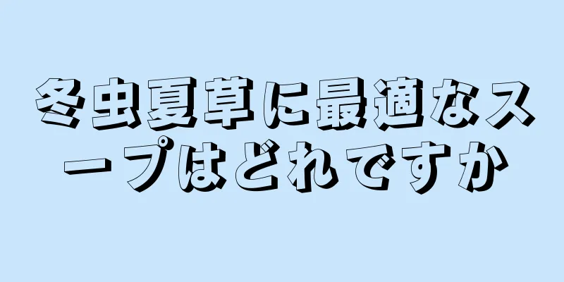 冬虫夏草に最適なスープはどれですか