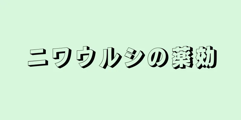ニワウルシの薬効