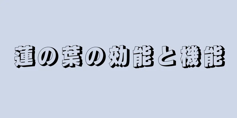 蓮の葉の効能と機能