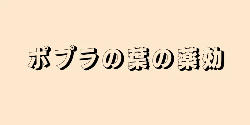 ポプラの葉の薬効