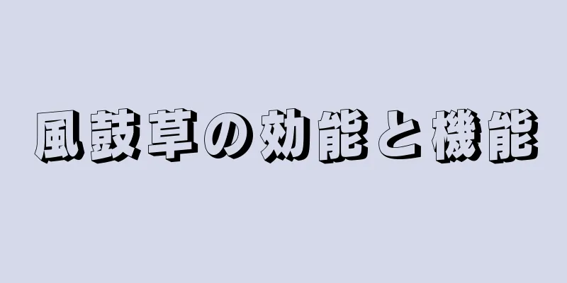 風鼓草の効能と機能