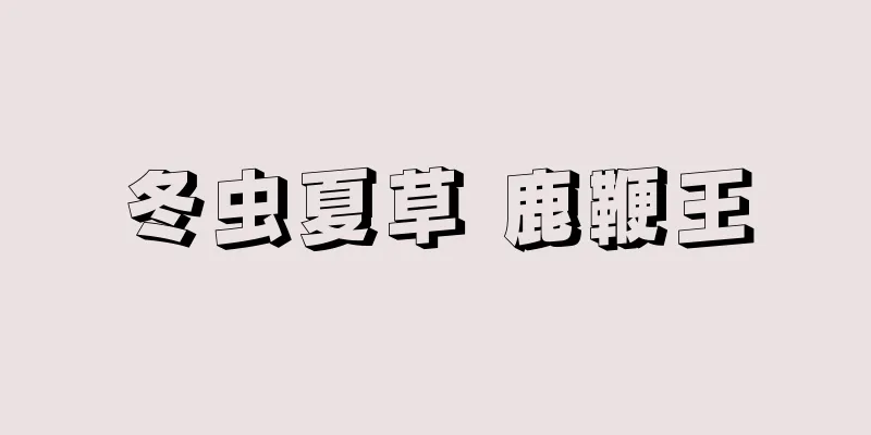 冬虫夏草 鹿鞭王