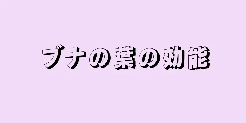 ブナの葉の効能