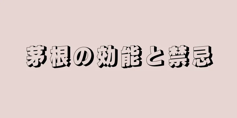 茅根の効能と禁忌