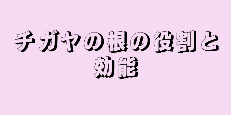 チガヤの根の役割と効能