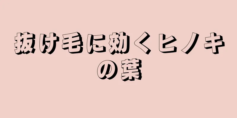 抜け毛に効くヒノキの葉