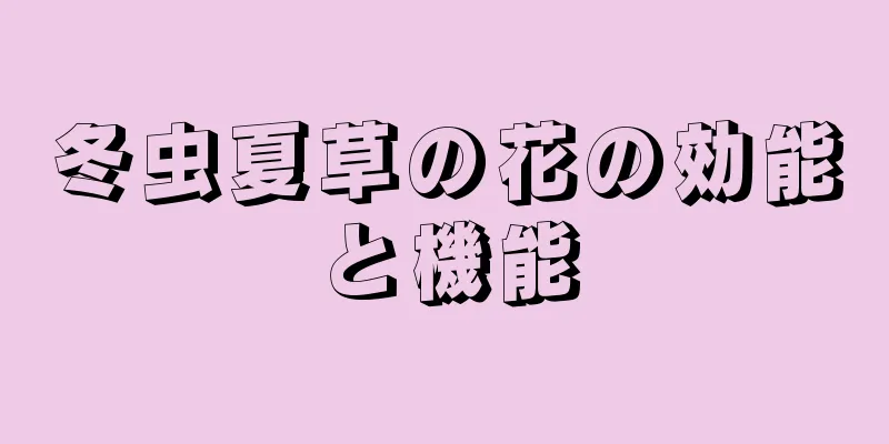 冬虫夏草の花の効能と機能