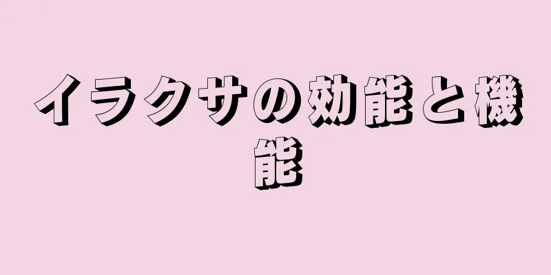 イラクサの効能と機能