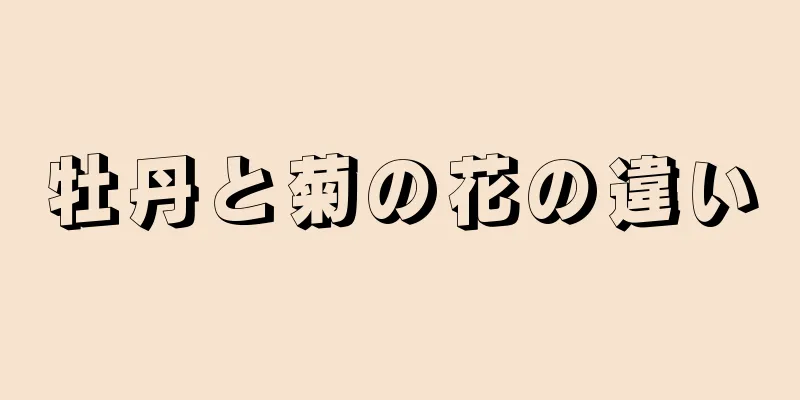 牡丹と菊の花の違い