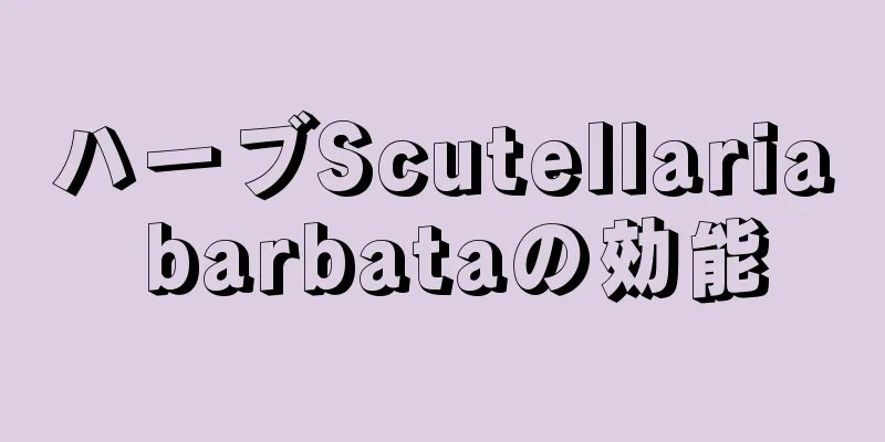 ハーブScutellaria barbataの効能