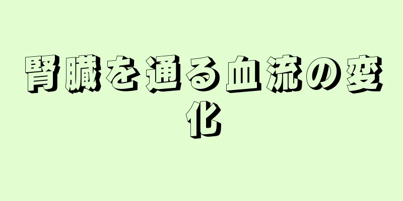 腎臓を通る血流の変化