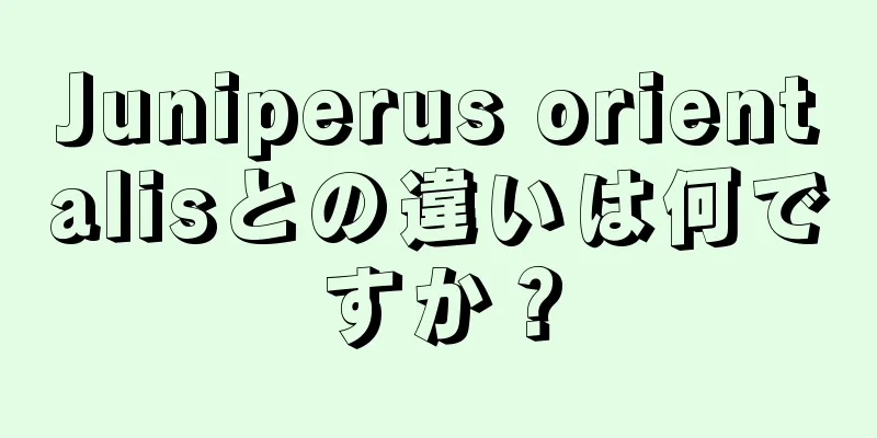 Juniperus orientalisとの違いは何ですか？