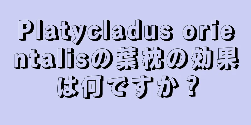 Platycladus orientalisの葉枕の効果は何ですか？