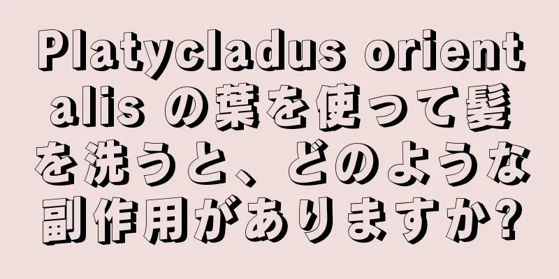 Platycladus orientalis の葉を使って髪を洗うと、どのような副作用がありますか?